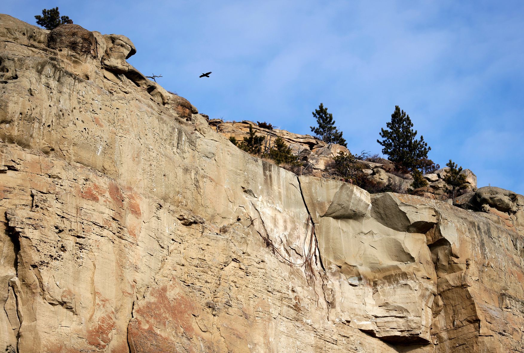 Laredo Place rock removal
